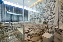 D'Lotus (D12), Apartment #462780371